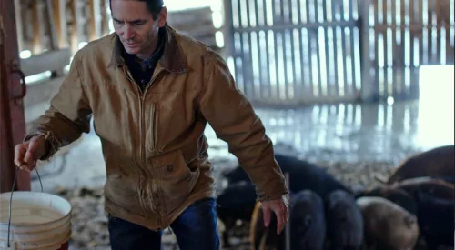 412903057-farmer-runs-governor