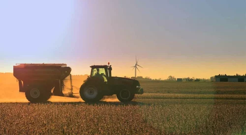 Soybeans