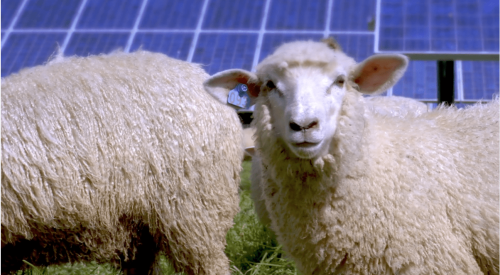 SustainabilityWithSolarPractices